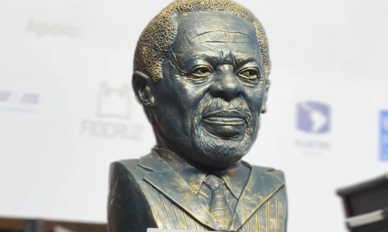 Registro da publicação sobre a Plenária Kofi Annan — fotografia 16 de 20